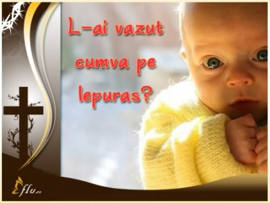 1pGK3_Ifh2wMndubme-gDn8CNv_EQOtWWwSOmsHU