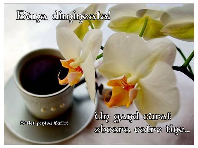 Efwnhc_-p1AXl7bDNhC51HHo0-3f1XtywH-m8ZSW