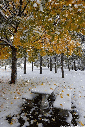 RHruroamSbAd5q4DMjynV5DXWCRKCQJ6ziYaOmf8Ge6tIReF2GZIWg==.gif