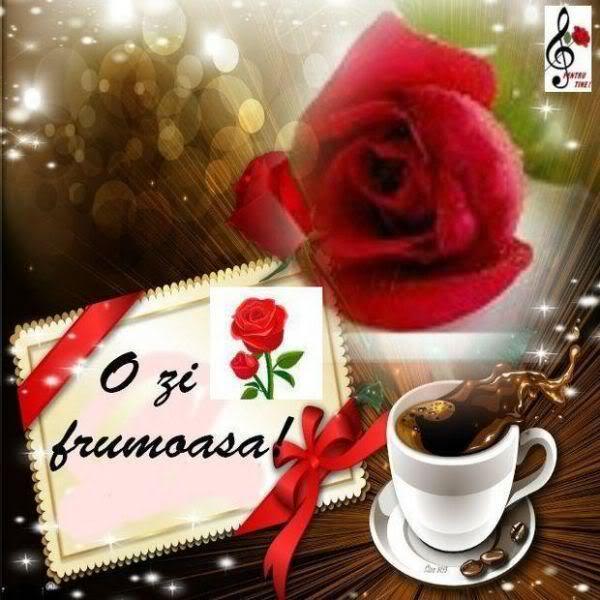 5QCPxzNaAl2p8cyVY0SLmHRJYNrrnDOGHDs8K-np