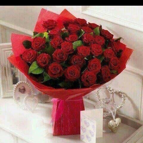j8XpCEO0VnYlBi1MQQpkUi8q7b70PxgBiaaNvvLT