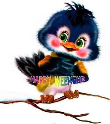 Bty9IzZBbpLjMS6noN3yyW-A8y2lhUY03xb9hrlQ