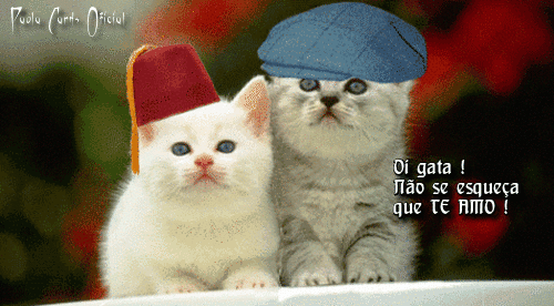 u8pX_0ai_L37V6hPNpHHCHo29PavjC05vbXJrtCa