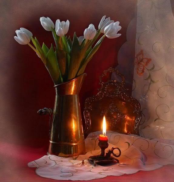 KWXLdbyMX3yB3AB6w_dC0N_LDAx2VrcAo_J-h3pj