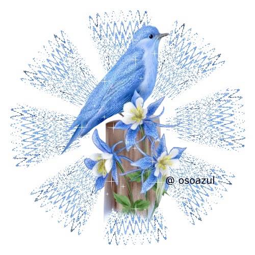 -_nzQX-L1nrlrGzs1qIHHdsz1O163P_7jGiX1T_fUiJybcgBFc_UZKGXS76LrDbH.gif