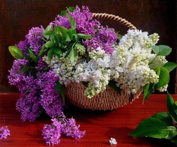 8d_pP8USlqdvV2P29nZCyf25HE2TaTOLhlDIH-rnCS9oDQVthbJ41CR-k7CsBVsC.jpg