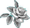 _Ue-7OOld6WxD3MsijLIhaSfnYH2wjLoX8CKXc02MIVeZeawbR6HTC2QOXPV0xO7.gif