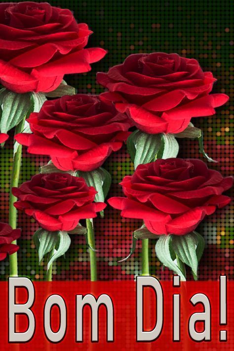 dnDos1d9LjVMseHHSmNVNo97DdD86CgMNFXCy80n