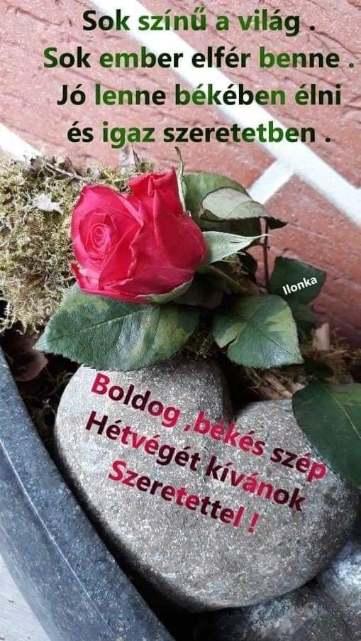 pDN2XhiJ5mxHkKYcneE-B8roADAIJEe5-HBDNDR0QdNvwNPIUo3p3diaiX6GWYiy.jpg