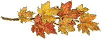 siMGjTXlEMDNOxJm9R_ncEnLtQ32f799h4nEGXYp-JIwjO6KqB3BPrub7gZ8Pxpc.gif