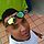 JOHAN DAVID -" PLC "TE@M❇ Consuela☮